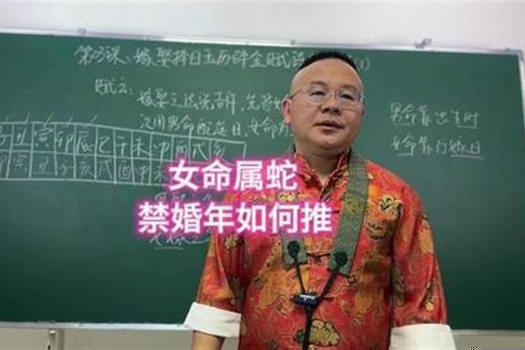 2001年五月的蛇好吗