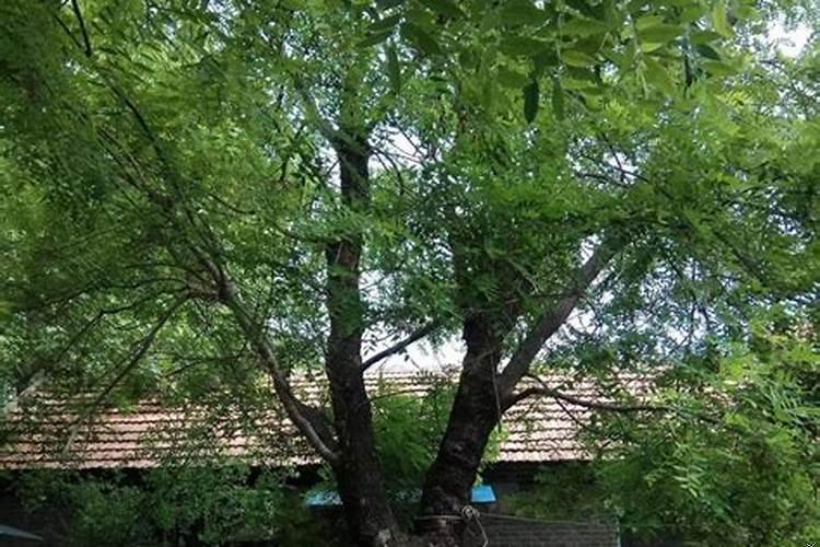 大门风水有多重要