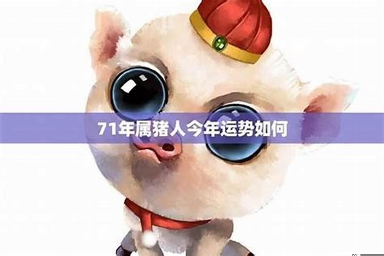 71年属猪人明年运程