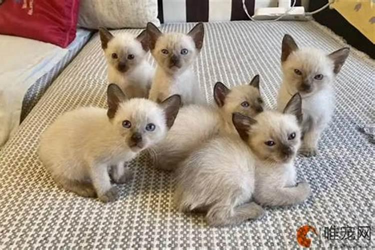 梦见鬼自己特别害怕什么预兆