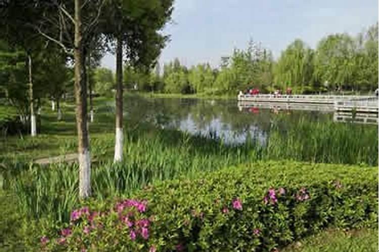 走子运怎么化解