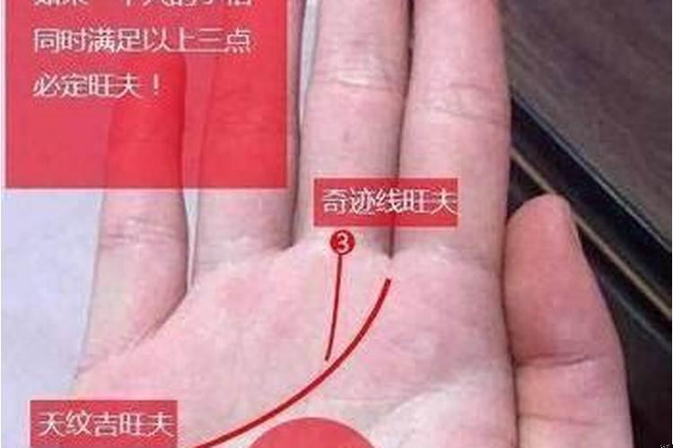 手相看桃花运个特征