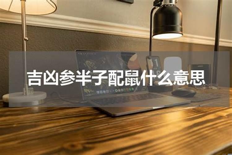 吉凶参半是啥意思