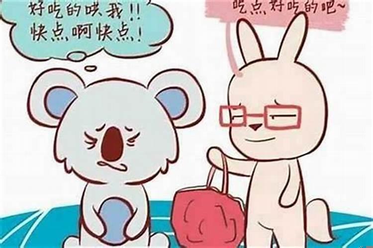 属兔女生和属鼠男生的合不合