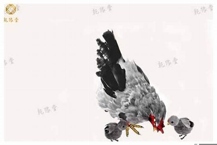 2017年属鸡的宝宝几月生人的最