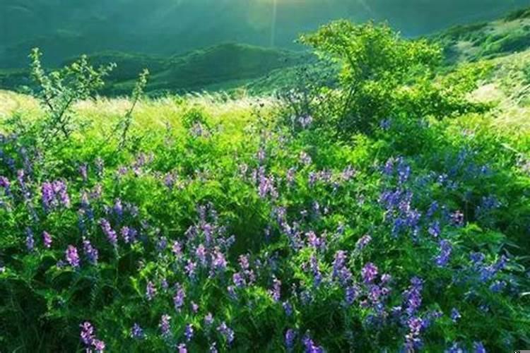 2022年桃花运最旺星座女