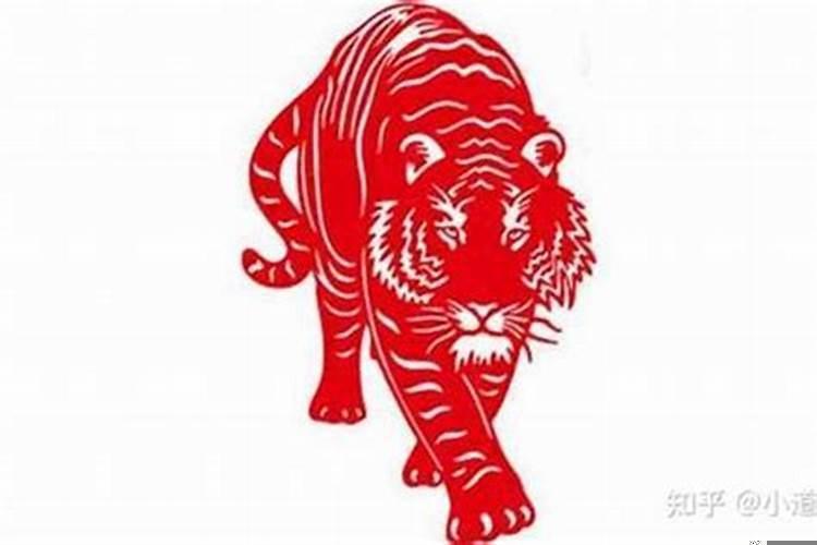 今天生肖虎的财运