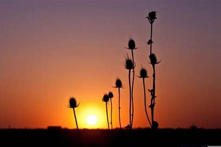 迷失了前进的方向