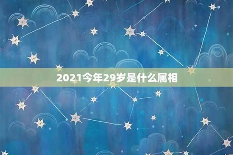 2021年虚岁28岁属什么的生肖