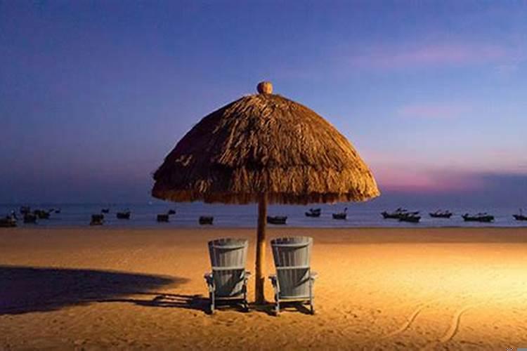 梦见猪圈里有大猪小猪崽子