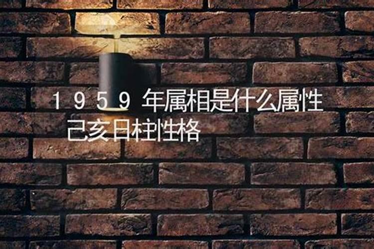 1959属相是什么属相