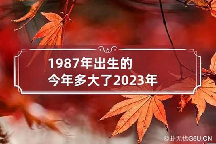 87年出生的今年多大岁数