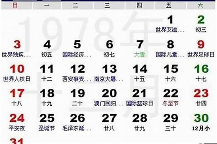 1978年出生是属什么