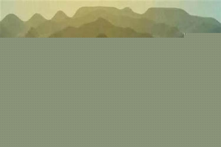 风水宝地是什么意思解一生肖动