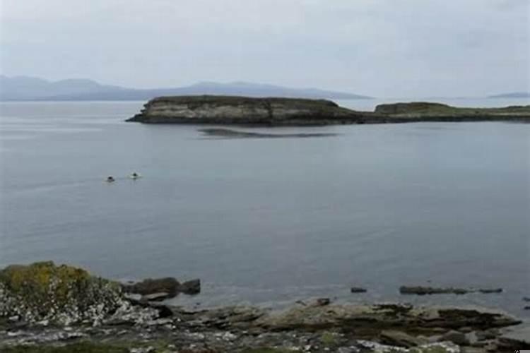 八字看配偶相貌准吗