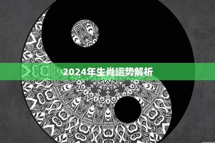 2019属相运势大解析