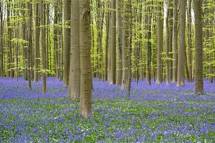 双鱼男会原谅老婆出轨吗