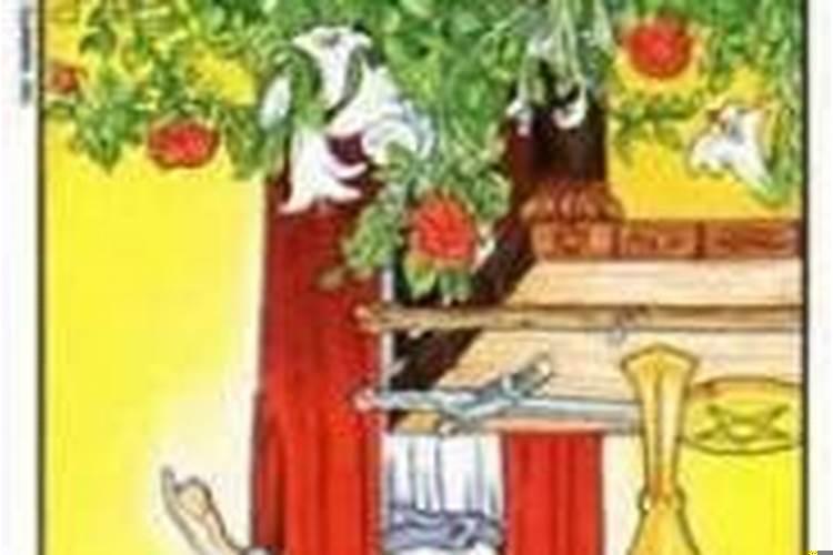 塔罗看感情发展