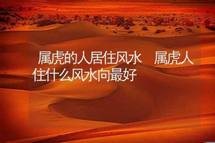 属虎人好运来临的征兆