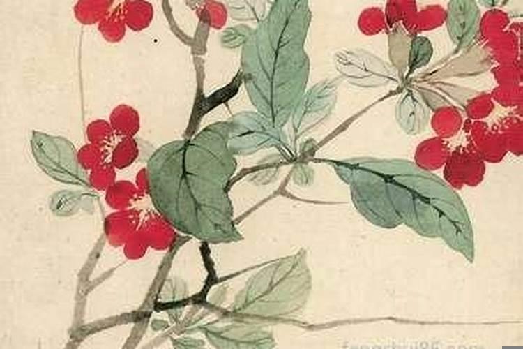 女人梦到很多屎