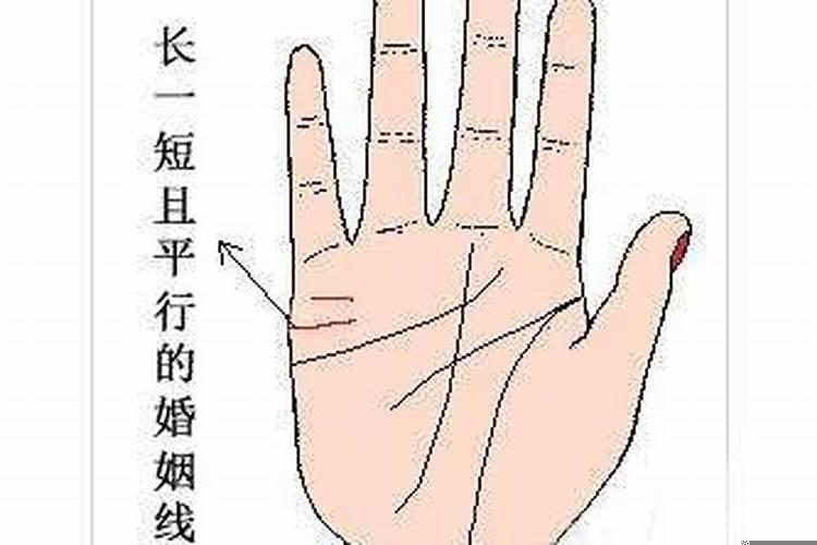感情线如何看婚姻好坏