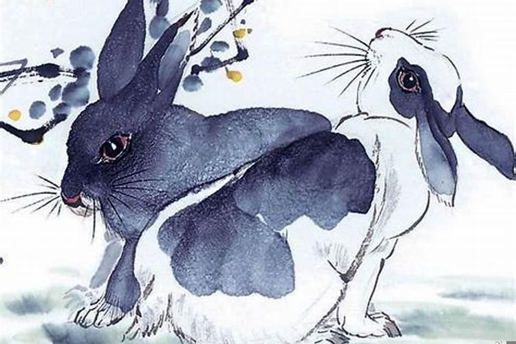 1987属兔几月命苦