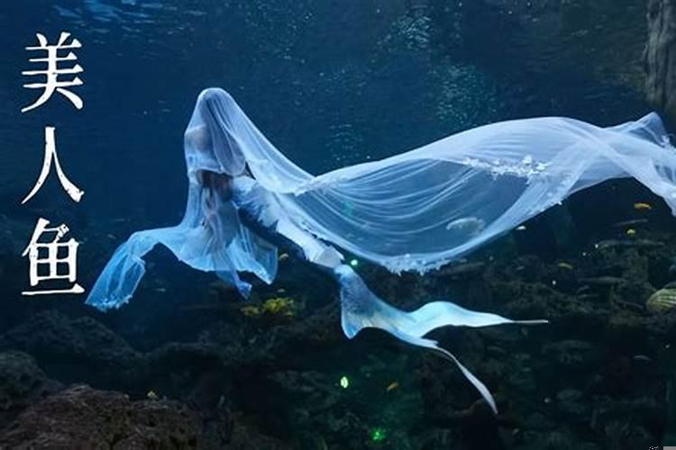 梦见我是一条美人鱼