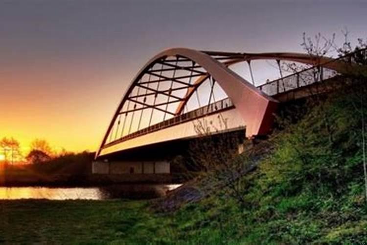 属蛇的今年结婚好不好