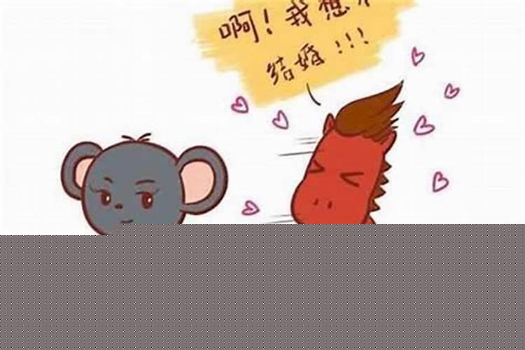 男属鼠女属马生个什么宝宝好