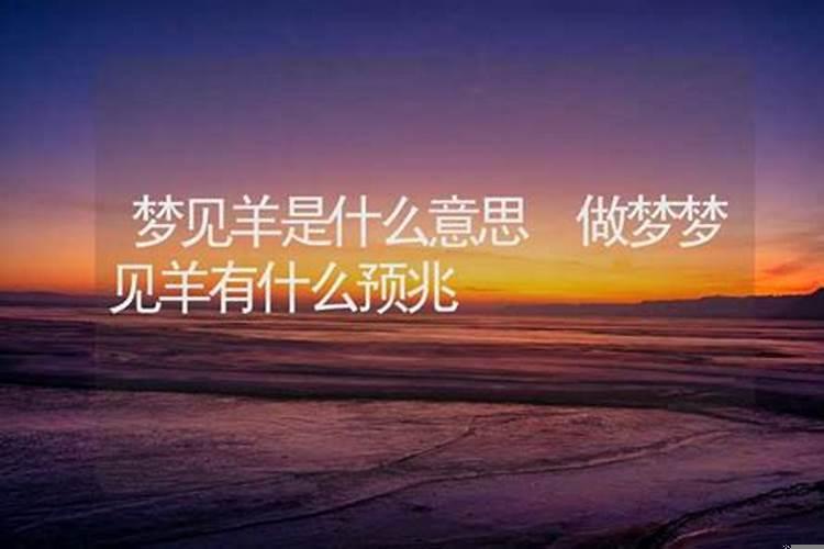 做梦梦见羊撞我