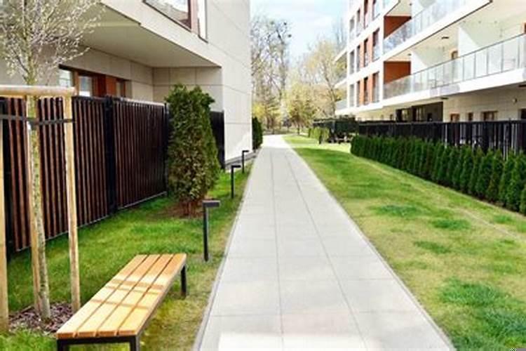 做梦到蛇缠身有什么寓意吗?好多