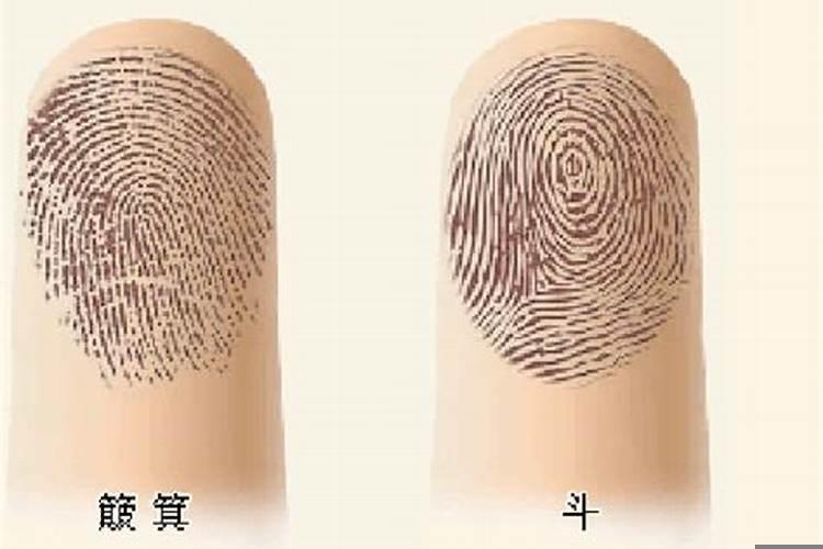 手上的螺纹有什么说法十个簸箕好嘛