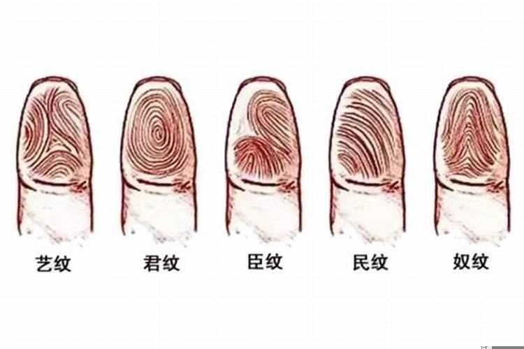 手上的螺纹有什么说法十个簸箕好嘛