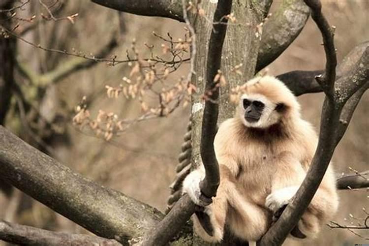 请问做梦抱着女人怎么回事