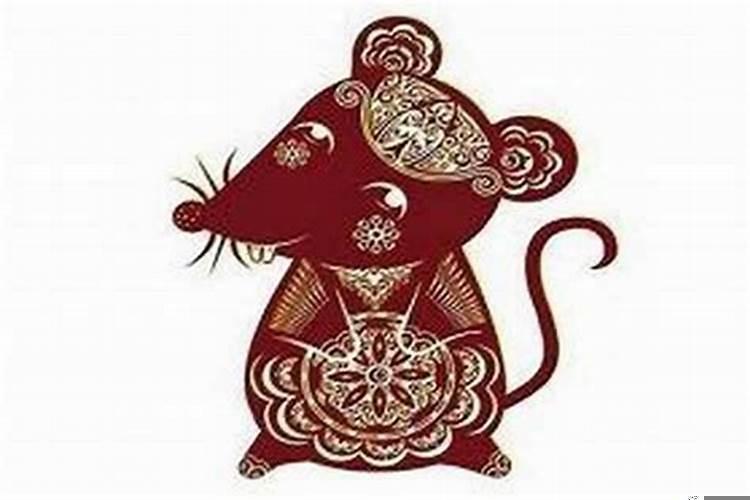 生肖鼠流年运程详解