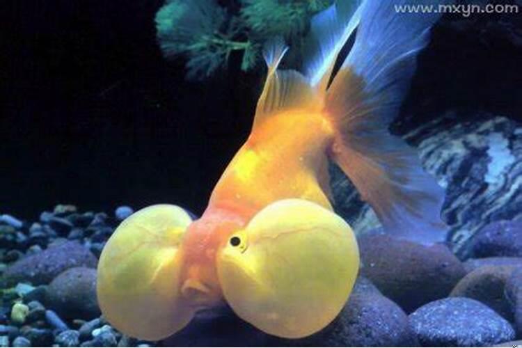 梦见老婆和别的男人睡在一起预兆