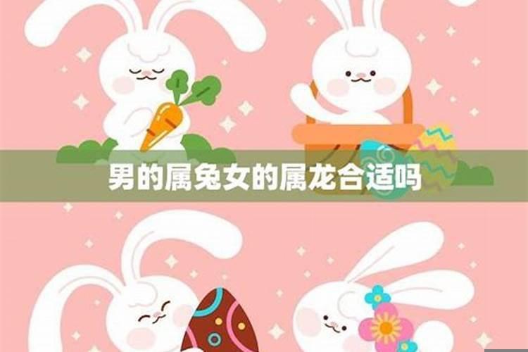 兔男和女龙配婚姻好不好