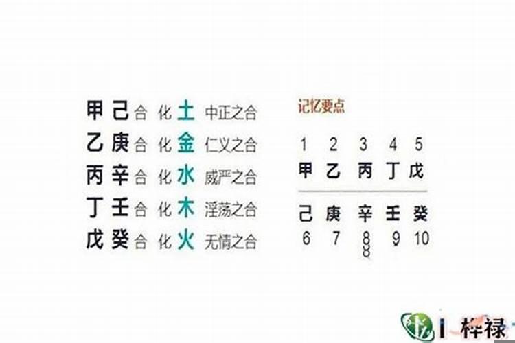 命局地支有三合局