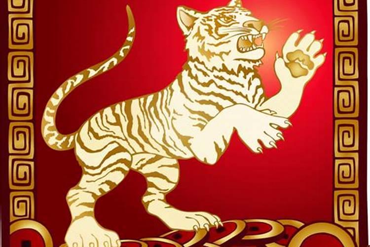 98属虎的姻缘在哪年