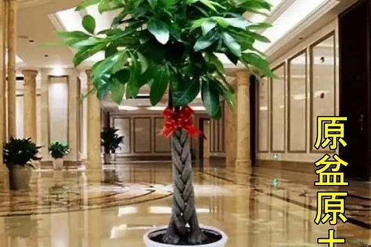 农村房子门对门怎么化解