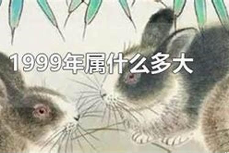 1999年生的到2021今年多大