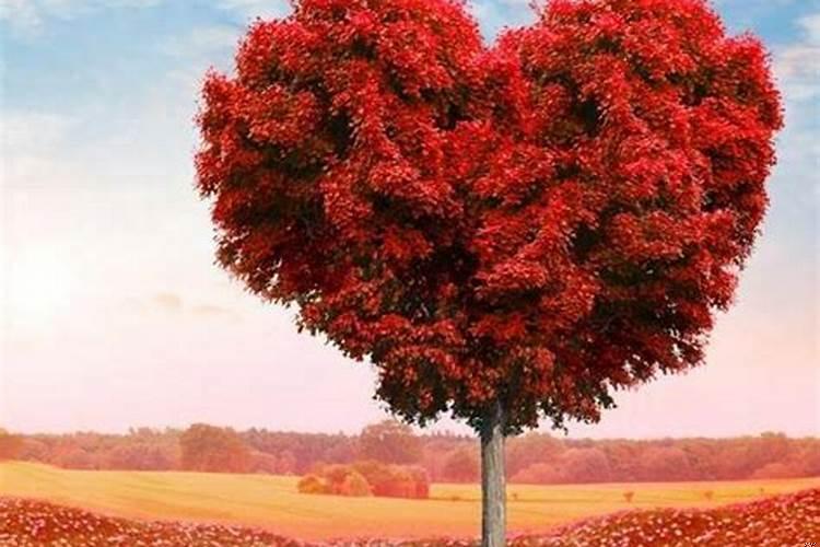 家里出贵人的风水