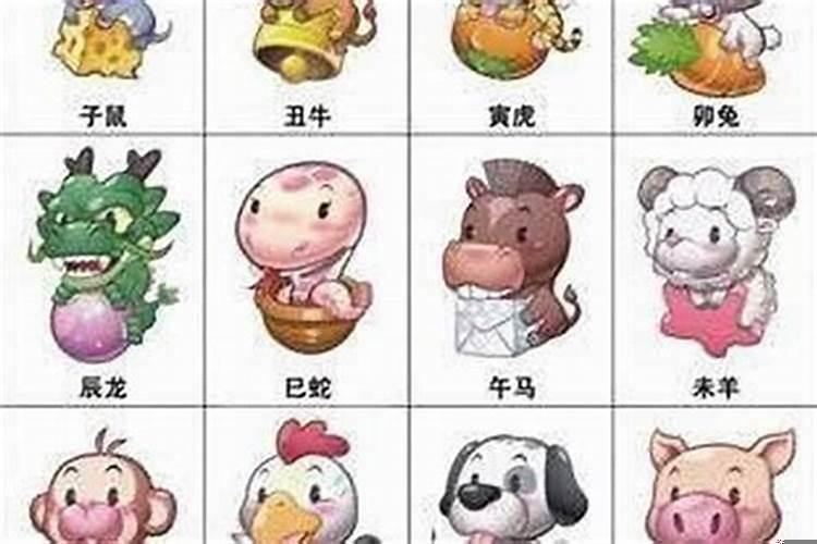 生肖龙的爱情婚姻配对