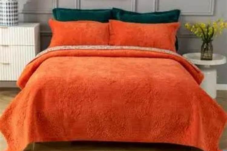 属鼠的适合什么颜色的窗帘