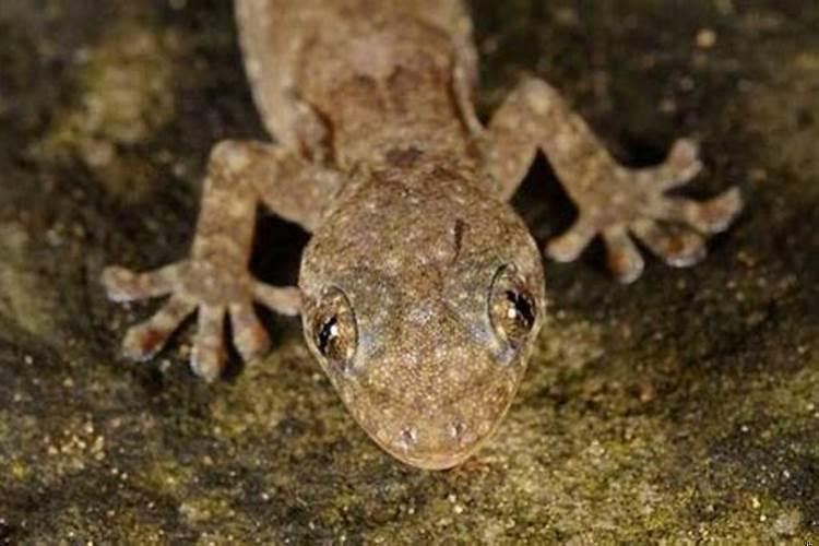 买房开盘便宜还是年底便宜