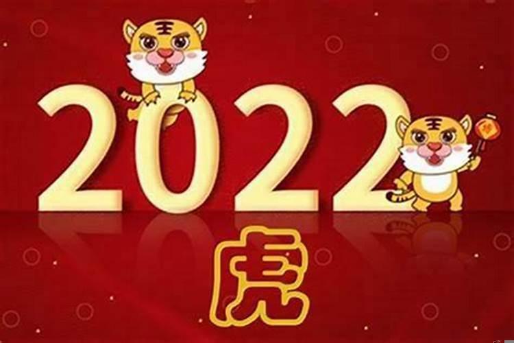 2025年是什么年呀