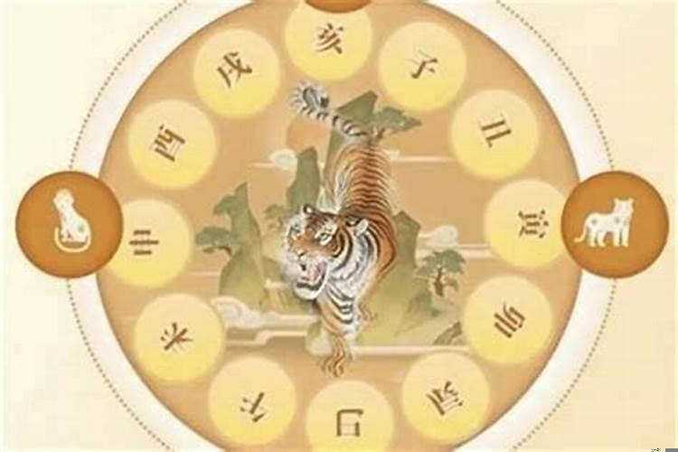 关于本命年的说法，为什么会犯太岁