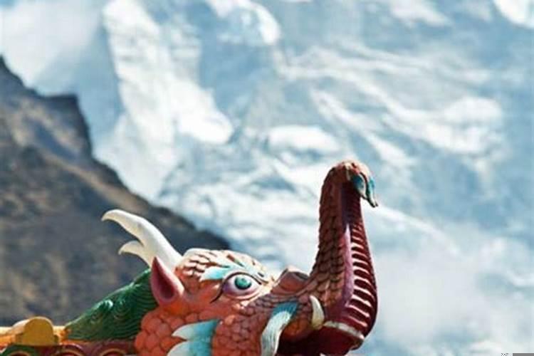 星座配对和生肖配对哪个准