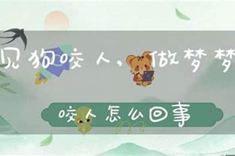 梦见狗咬人是什么预兆