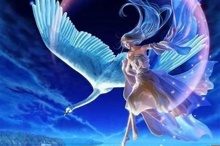 女生说自己是处女座是什么意思